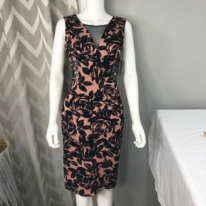 Enfocus Studio Velour Black Mauve Body Con Dress